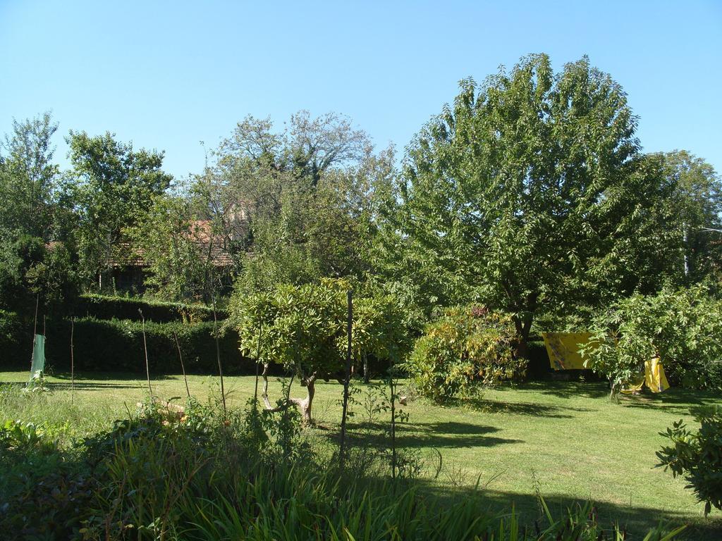 Villa L'Oca Mannara à Ameno Extérieur photo